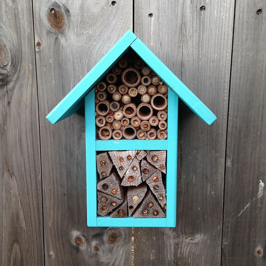 bees, pollinators, bee house, pollinate, pollination, garden, HD wallpaper