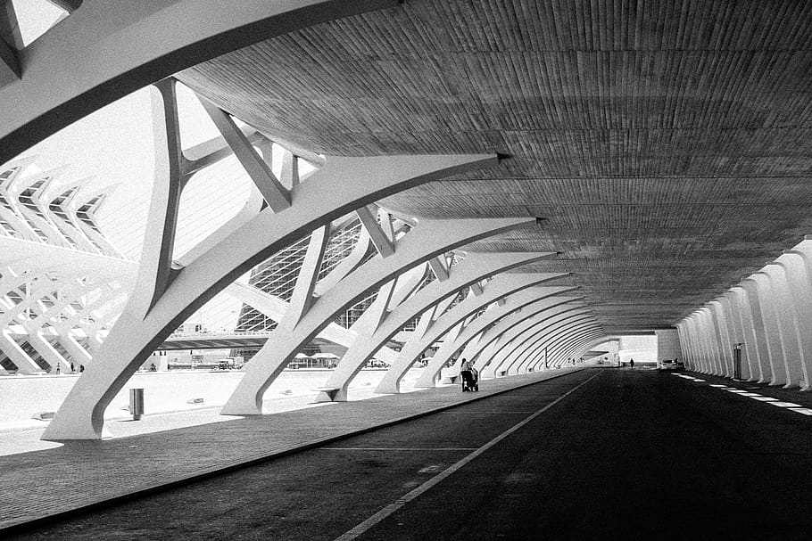 calatrava, valencia, arts and sciences, architecture, transportation, HD wallpaper