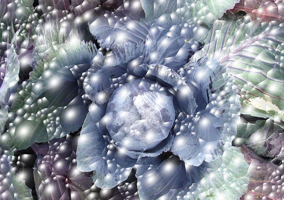 Bubbles, Cabbage, Healthy, Vegetable, drop, background, swirling HD wallpaper