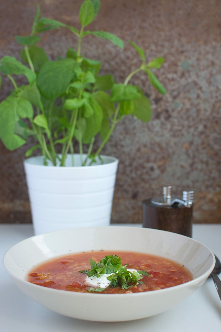 Red lentils soup with tomatoes, sour cream and mint, healthy, HD wallpaper