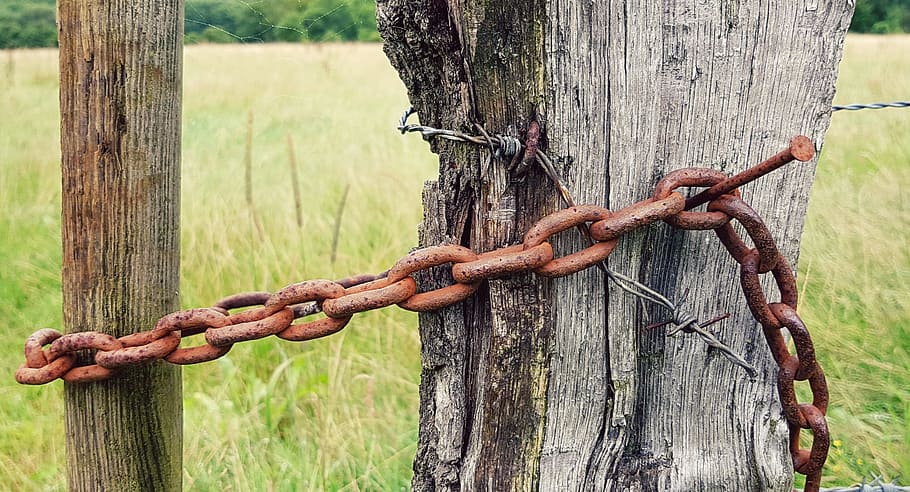 rusted brown chain on tree, fence, fence post, wooden posts HD wallpaper