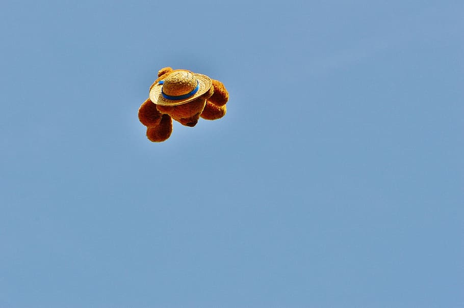 flying teddy, funny, bear, sky, plush, fruit, nature, food HD wallpaper