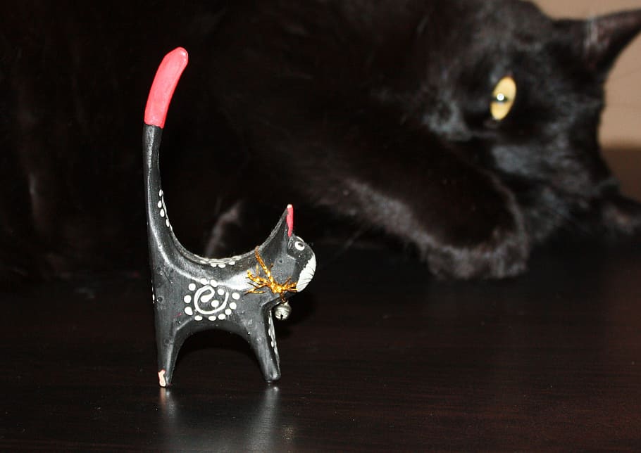 cat, black cat, watching, cats, black cats, eye, yellow eyes HD wallpaper