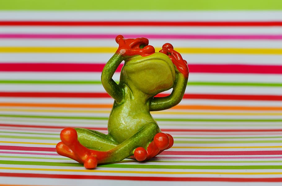 frog, figure, not see, funny, cute, sit, animal, frogs, food and drink HD wallpaper