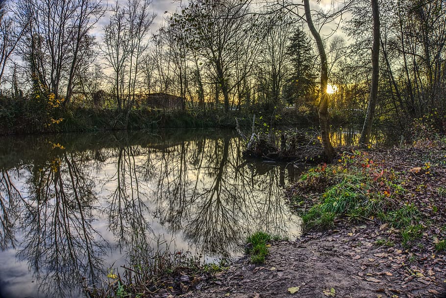 water, mirroring, reflection, nature, landscape, water level HD wallpaper