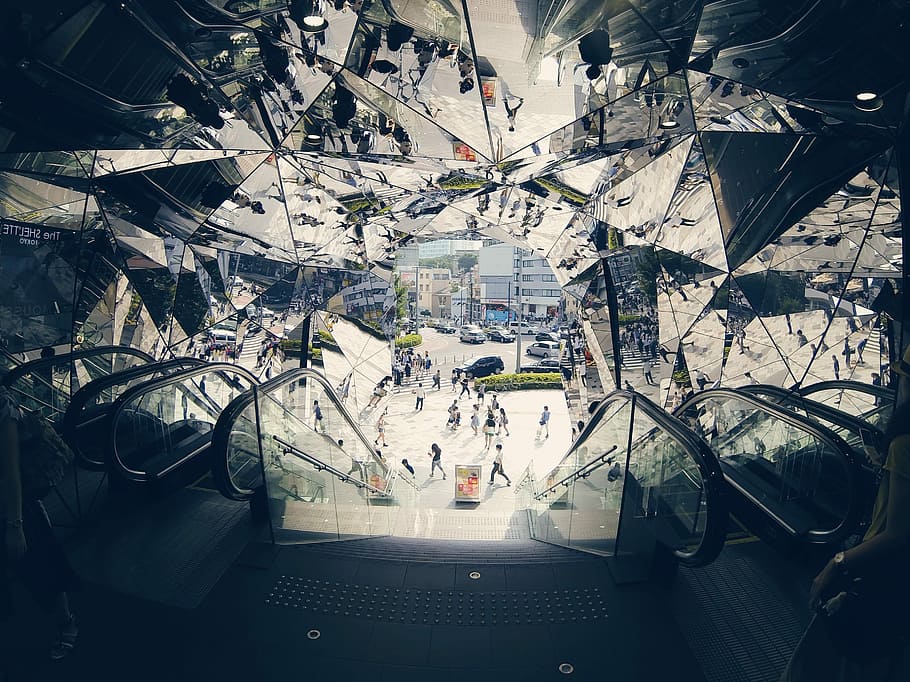 people walking near escalator, escalator inside building with glass ceiling HD wallpaper