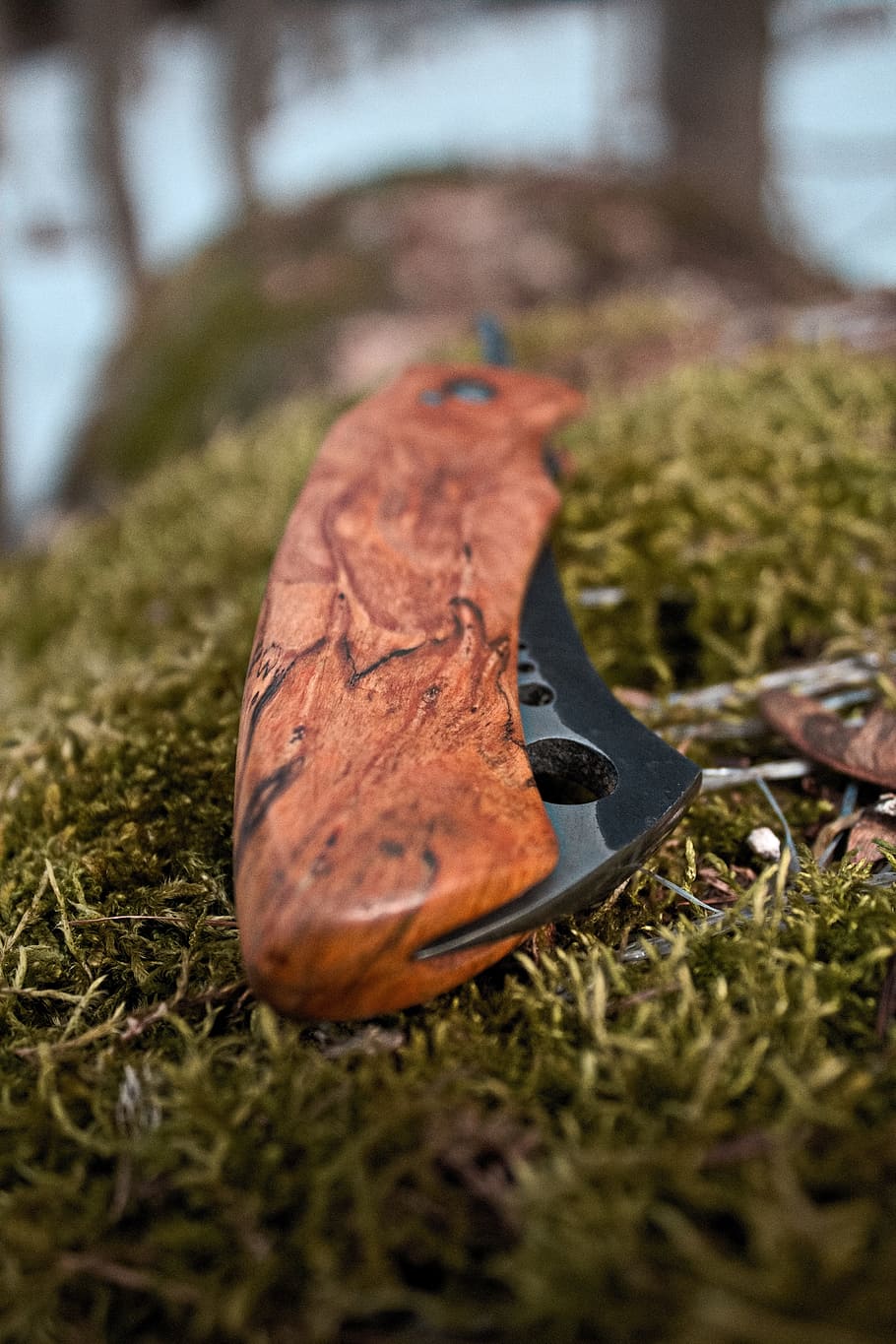 Knife, Winter, Moss, Priroda, outdoors, no People, shoe, nature HD wallpaper