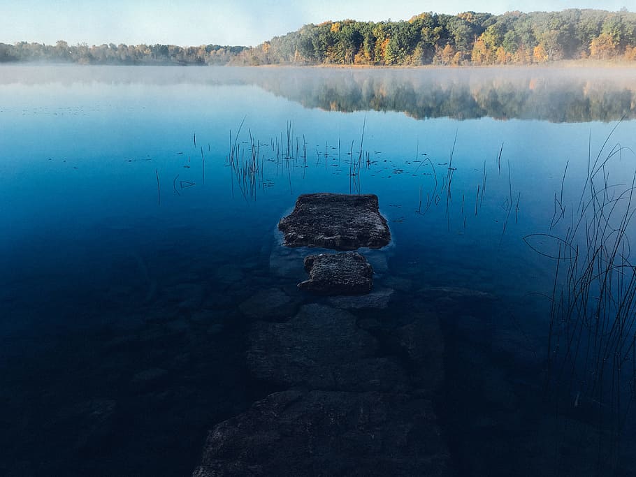 body of water near forest, body of water near trees under blue sky at daytime HD wallpaper