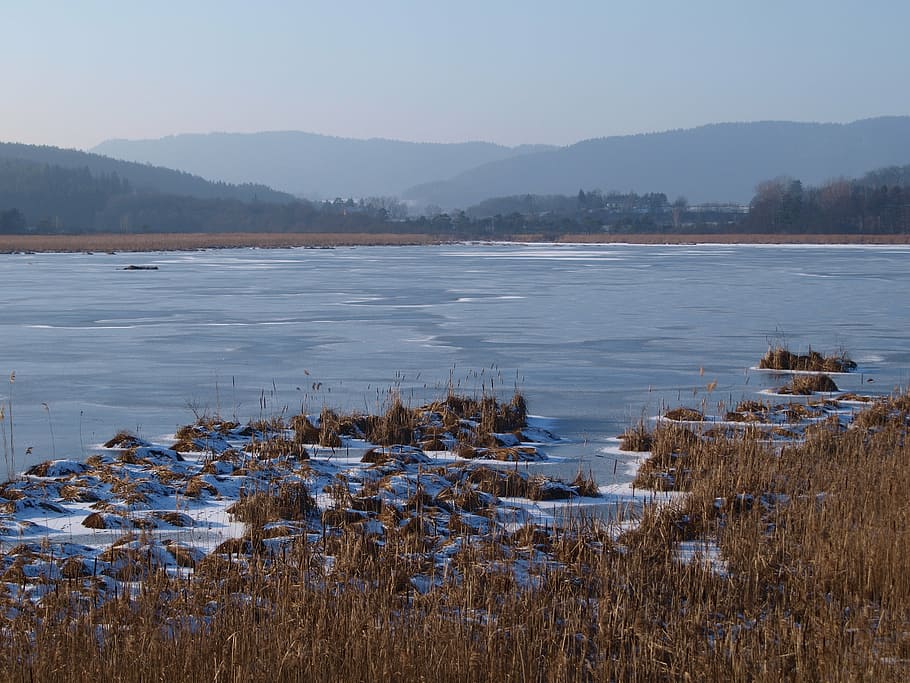 water, winter, ice, cold, winter dream, frost, snow, frozen HD wallpaper