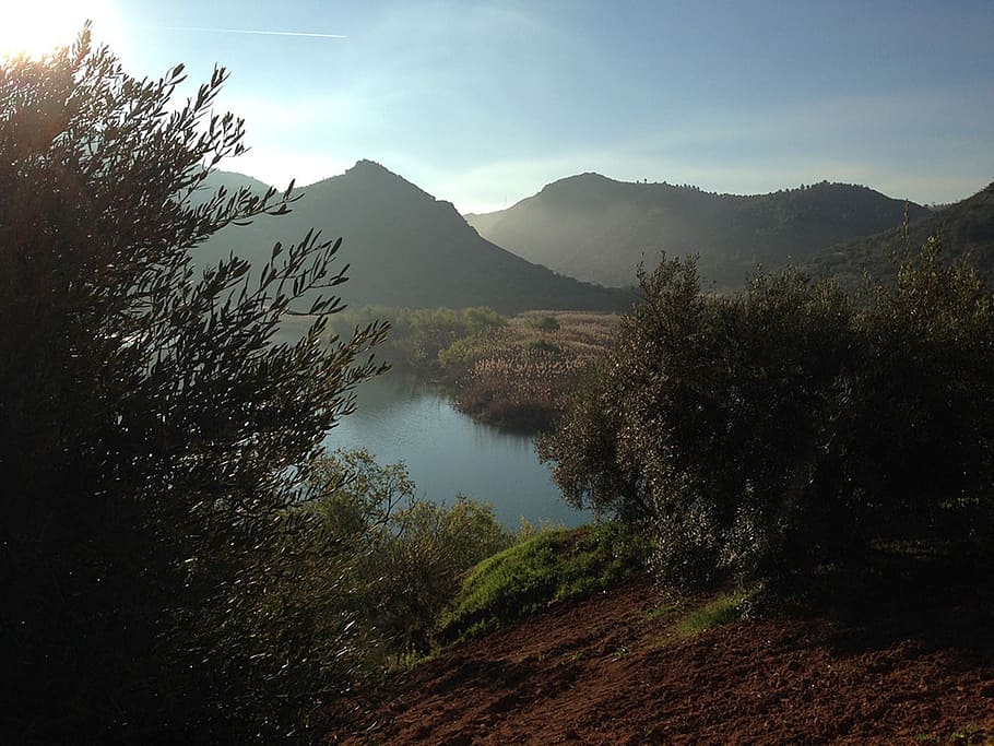dawn, backlight, malaga, mountain, tree, scenics - nature, beauty in nature HD wallpaper