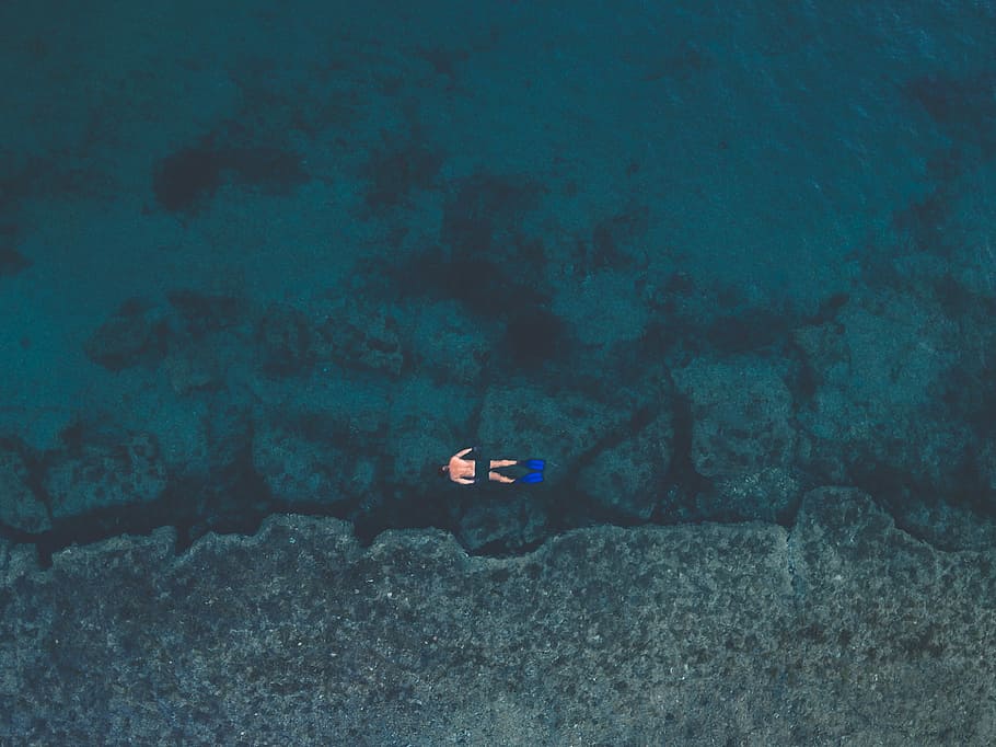 man floating on body of water wearing swimming flippers, man snorkeling on clear body of water HD wallpaper