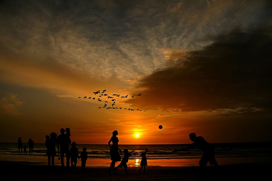 silhouette photo of people beside of beach during sunset, families