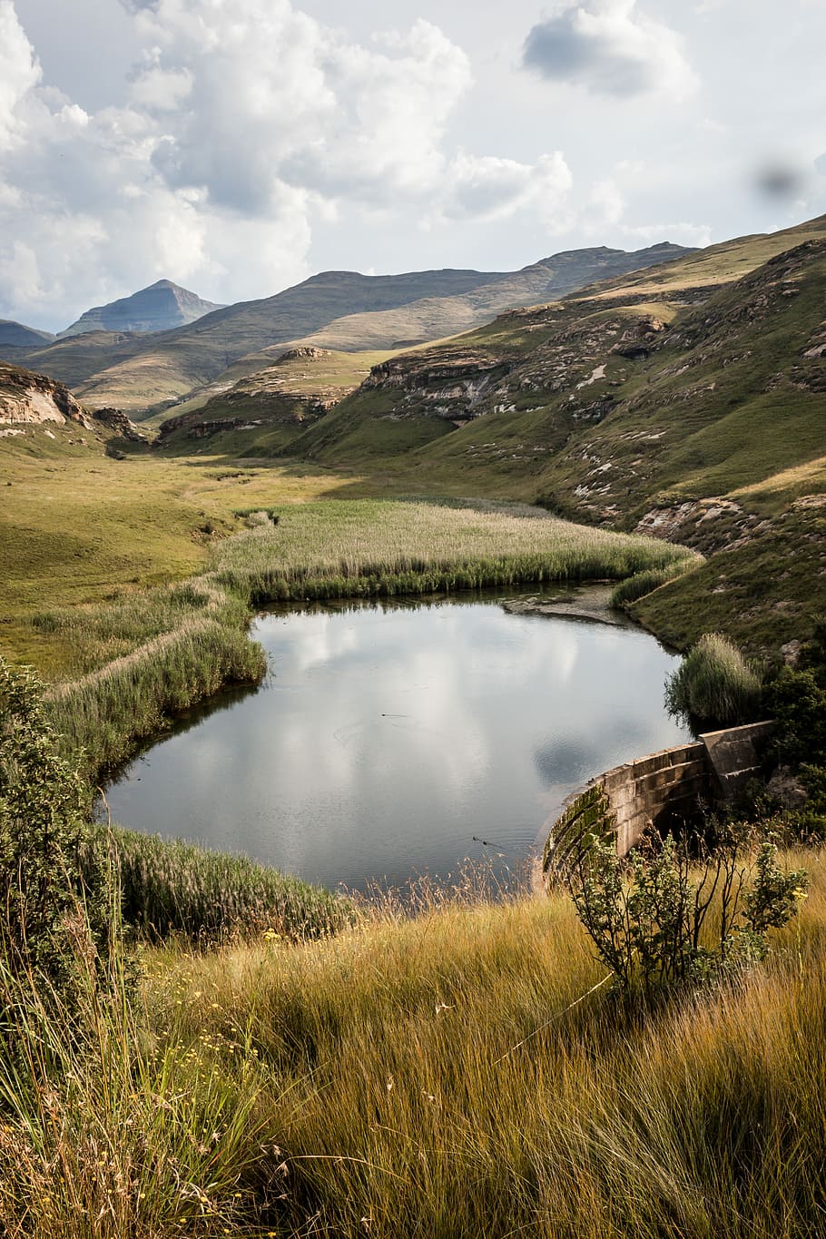 pond between grasses, landscape photography of swamp surrounded with mountains HD wallpaper