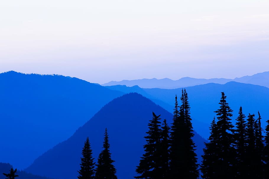 silhouette photo of pine tree at cloudy sky, trees, mountain HD wallpaper