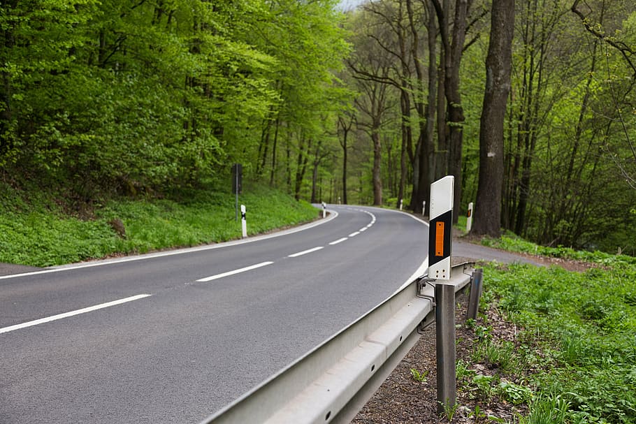 delineator posts, road, traffic, tree, forest, transportation HD wallpaper