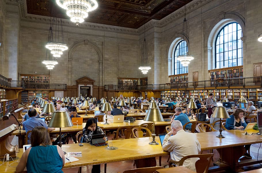 within, library, education, university, school, human, table HD wallpaper