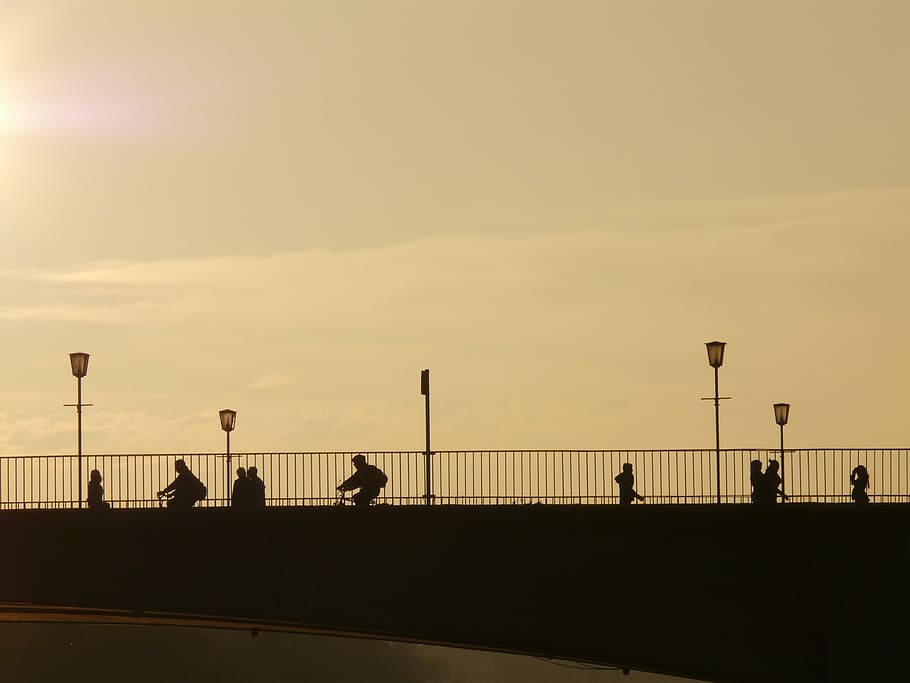 bridge, human, profile, silhouette, web, street lamp, back light HD wallpaper