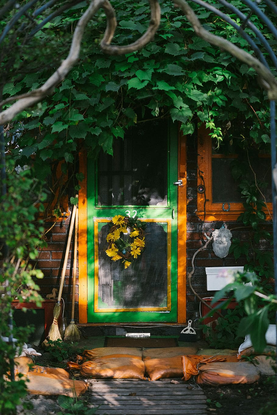 photo of green full-lite door with flower accent, green wooden door covered by green leaves HD wallpaper