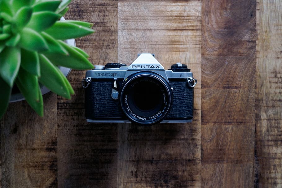 Pentax camera beside plant, black and gray Pentax camera near green succulent plant HD wallpaper