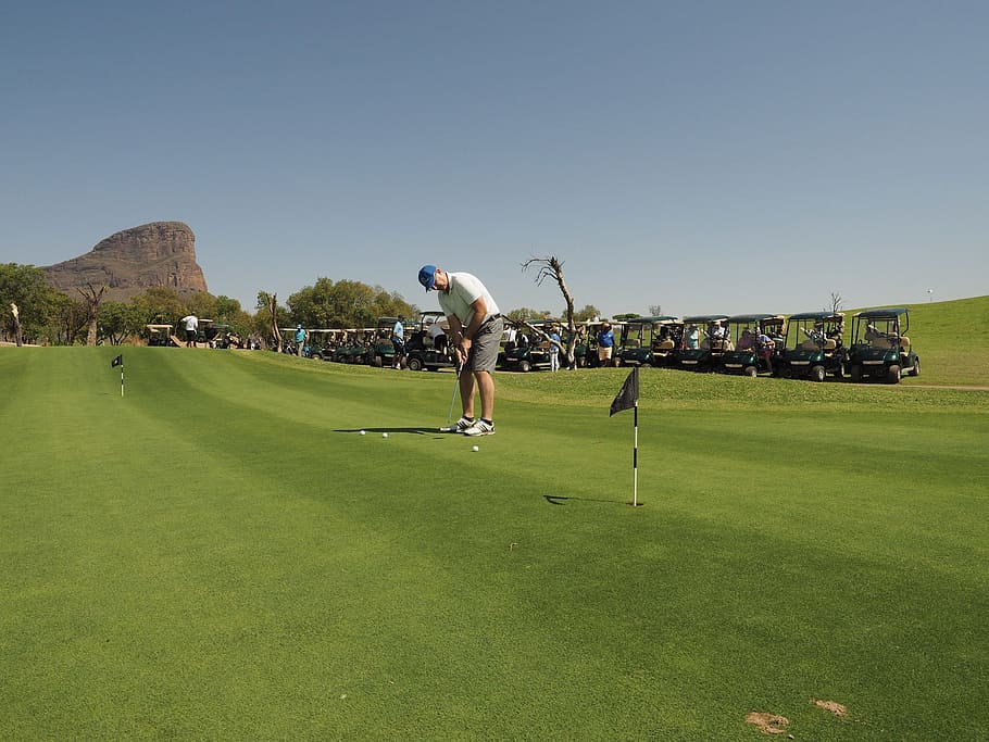 Golf, golfing, practicing, putting, practice, ball, club, summer HD wallpaper