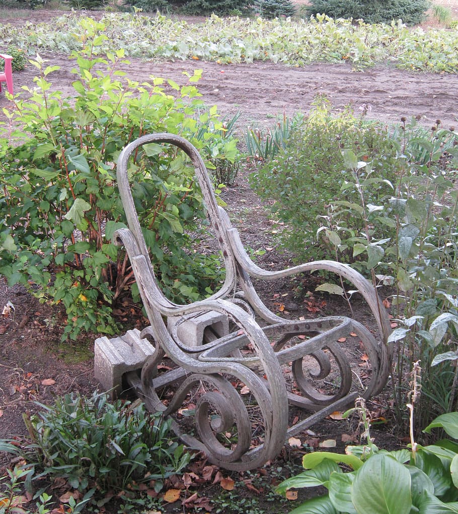 armchair, garden, fall, plant, no people, nature, day, growth HD wallpaper