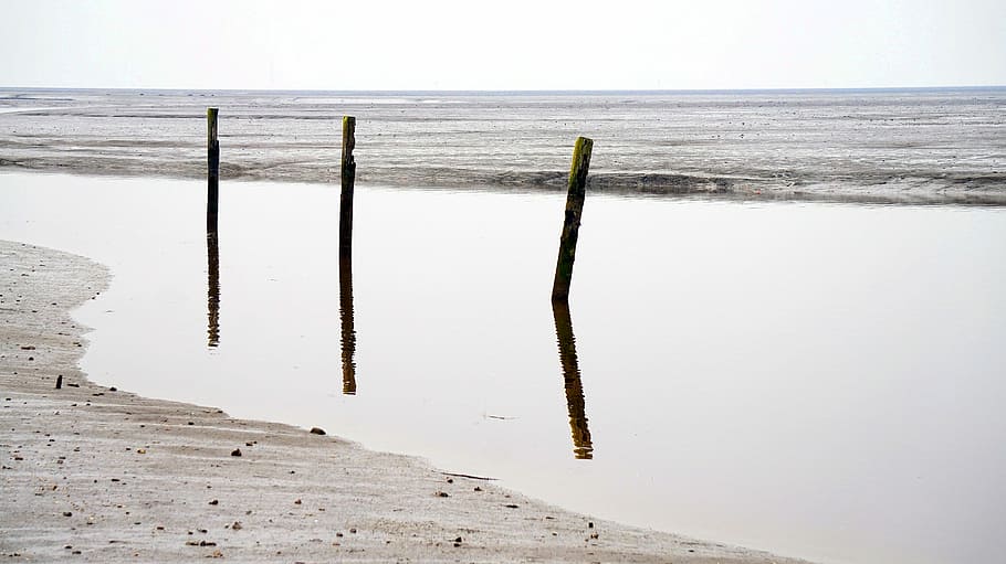 north sea, beach, winter, water, wood - material, tranquility HD wallpaper
