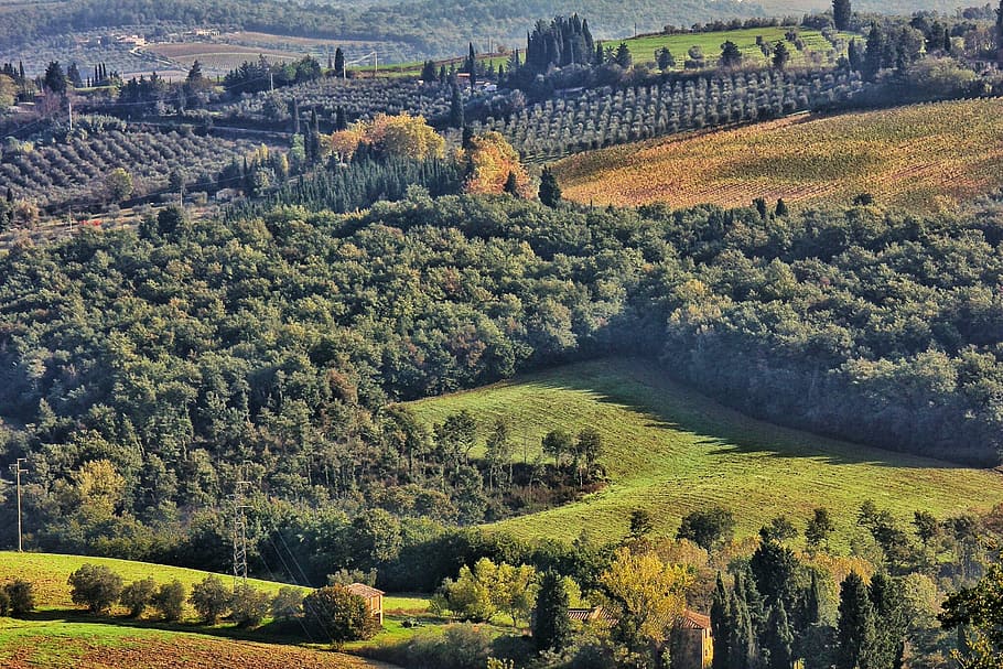 italy, landscape, tuscany, nature, hill, rural Scene, tree, HD wallpaper