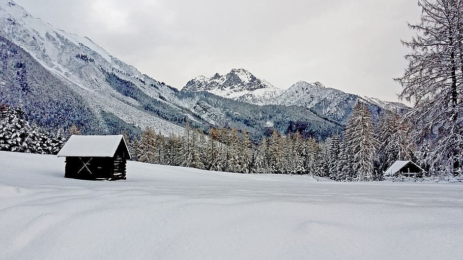 wintry, snow, mountains, snow landscape, cold temperature, winter HD wallpaper