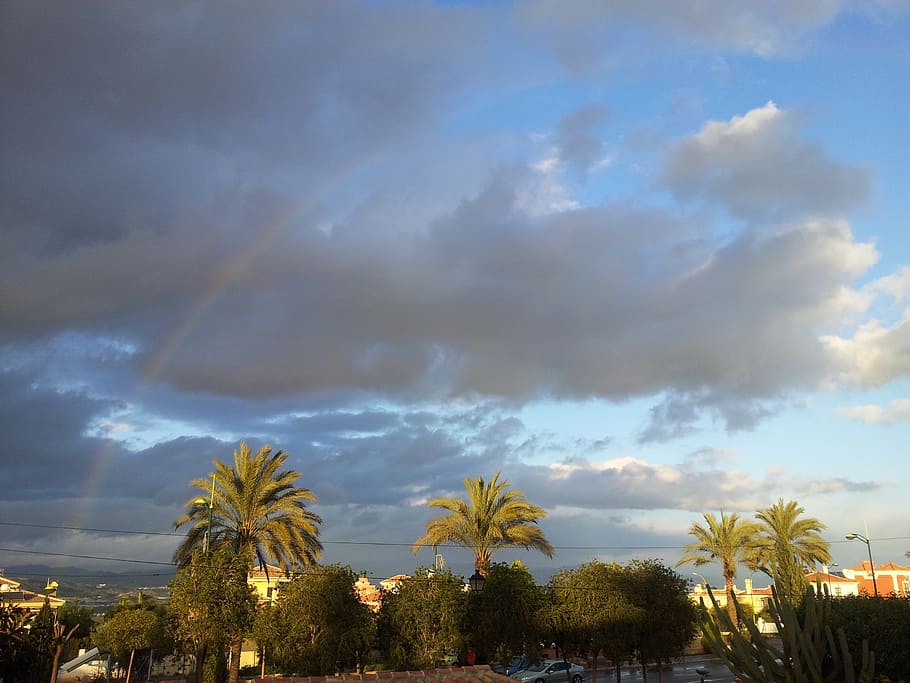 rainbow, alhaurin, time, cloud - sky, tree, plant, beauty in nature HD wallpaper