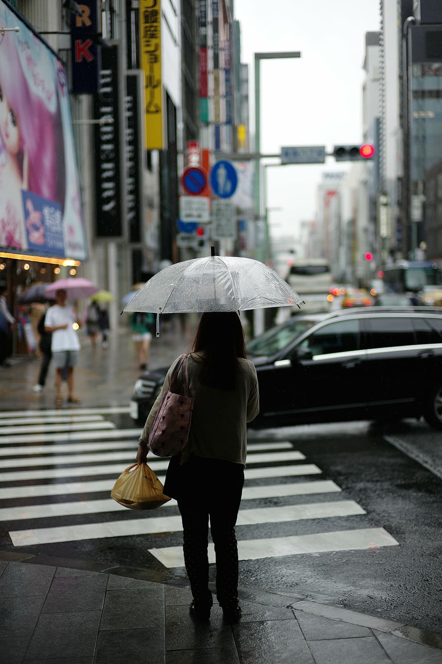 woman standing under umbrella beside pedestrian lane with car on road screenshot HD wallpaper