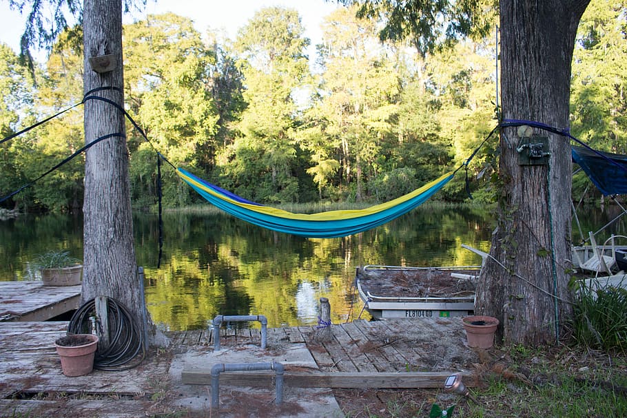 blue hammock binded on tree, empty blue and yellow hammock near body of water HD wallpaper