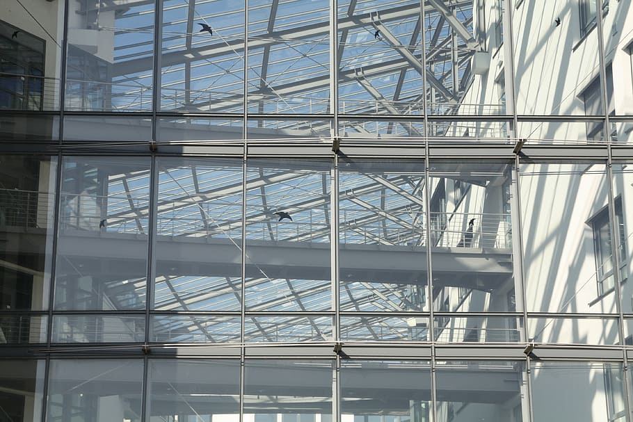cologne, atrium, glass, built structure, architecture, glass - material HD wallpaper