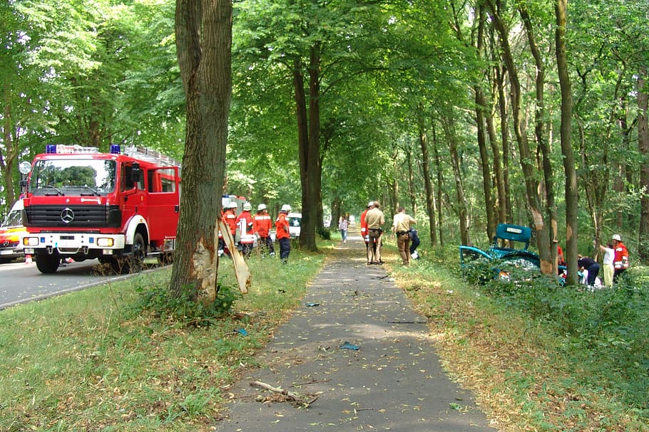 Fire, Delete, Traffic Accident, use, tree, accidents and disasters HD wallpaper