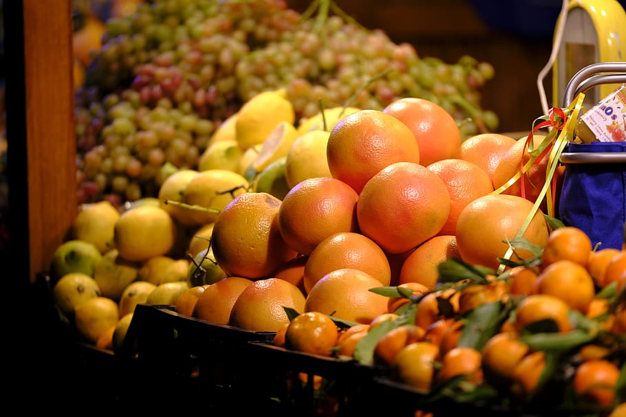 oranges, grapefruit, lemons, citrus fruit, vitamins, healthy HD wallpaper
