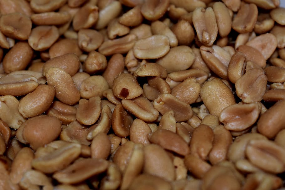 peanuts, snack, food, salted peanuts, salty, healthy, raw, food and drink, HD wallpaper