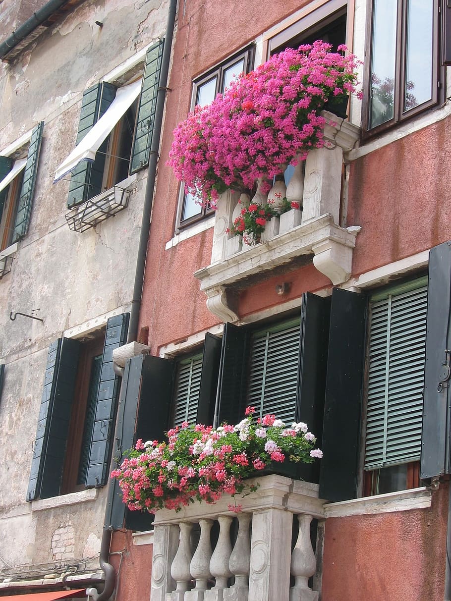 Flowers, Window, Garnished, Balcony, home, beauty, venice, italy HD wallpaper
