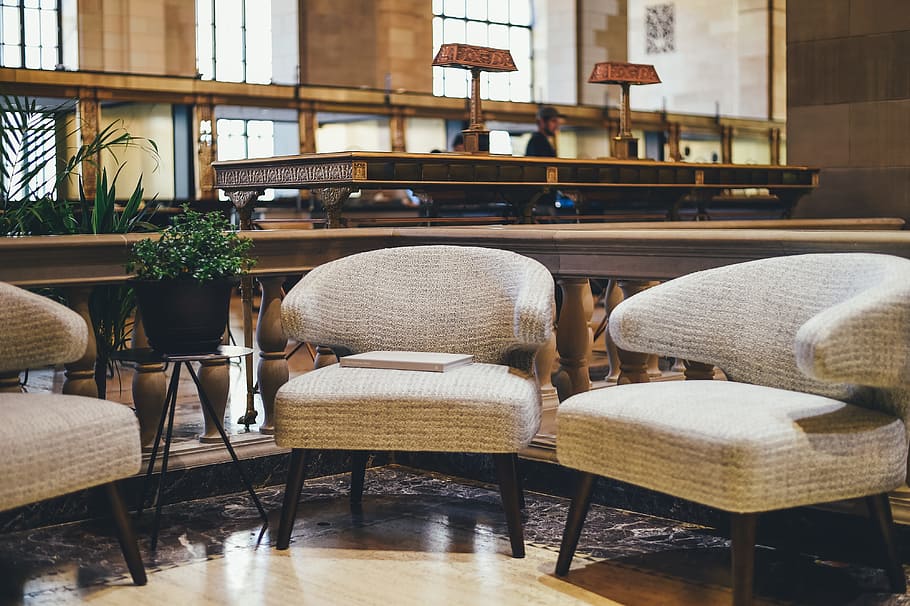 sofa, couch, chill, relax, plants, green, leaves, architecture HD wallpaper