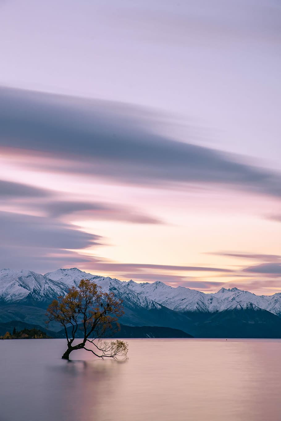 white tree in the middle of body of wter, lone tree in the middle of body of water in distant of mountain alps HD wallpaper