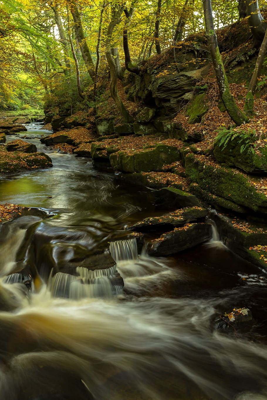 time lapse photography of river, autumn, waterfall, landscape HD wallpaper