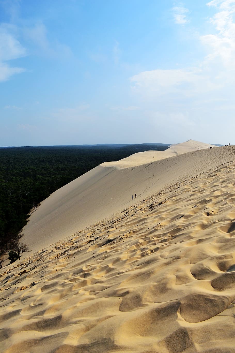 Dune, Pilat, Pyla, Sand, pilat dune, pyla dune, aquitaine, france, HD wallpaper