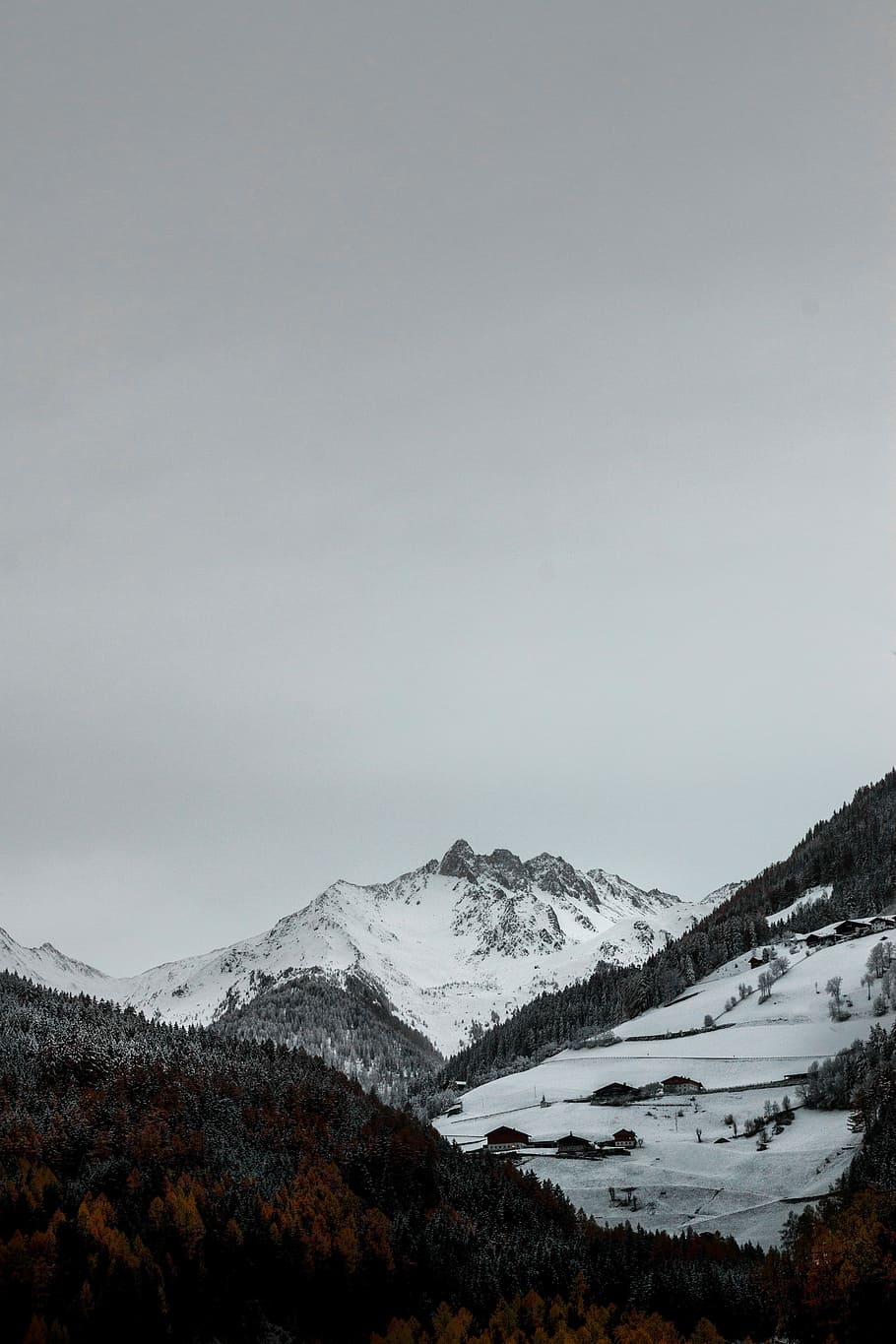 snow covered mountain, snow covered mountain and trees, valley HD wallpaper