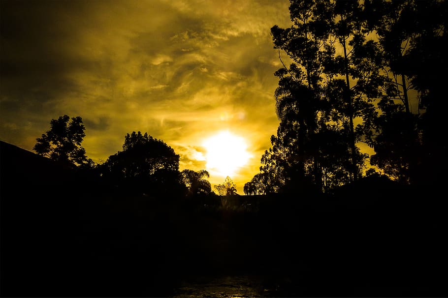 sunset, sol, landscape, horizon, tree, cloud, brazil, summer HD wallpaper