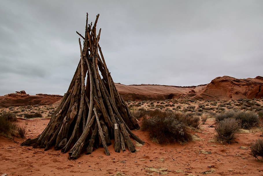 wood log on brown soil at daytime, desert, red, grass, landscape HD wallpaper