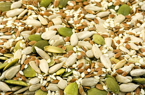assorted-color stone lot, Seed, Seeds, Kernel, Nut, Nuts, sunflower HD wallpaper