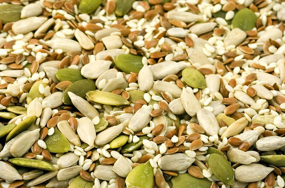 assorted-color stone lot, Seed, Seeds, Kernel, Nut, Nuts, sunflower HD wallpaper