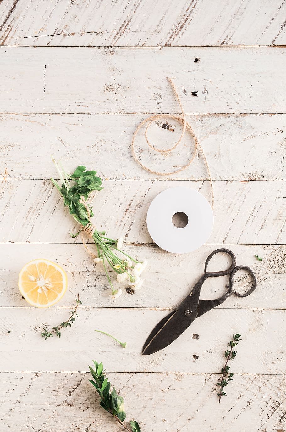 black scissors, herb, slice, lemon, beside, sheers, rope, table HD wallpaper