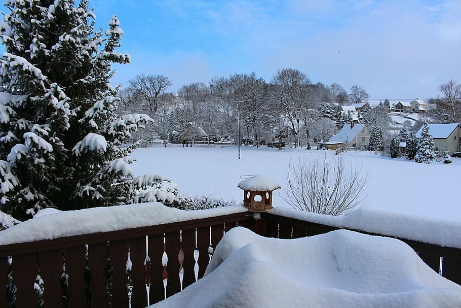 wintry, snow, snowy, winter magic, nature, cold - Temperature HD wallpaper