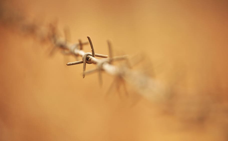 selective focus on barbwire, barbed wire, fence, sharp, security HD wallpaper