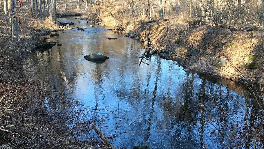 stream, rockefeller, spring, nature, reflection, tree, water HD wallpaper