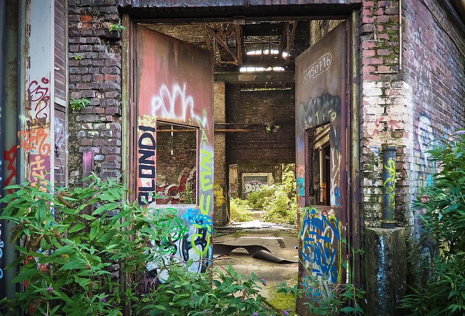 brown steel door beside green plant, lost places, rooms, leave, HD wallpaper